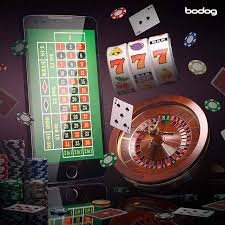 144 bet