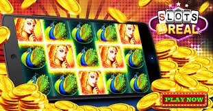 144 bet
